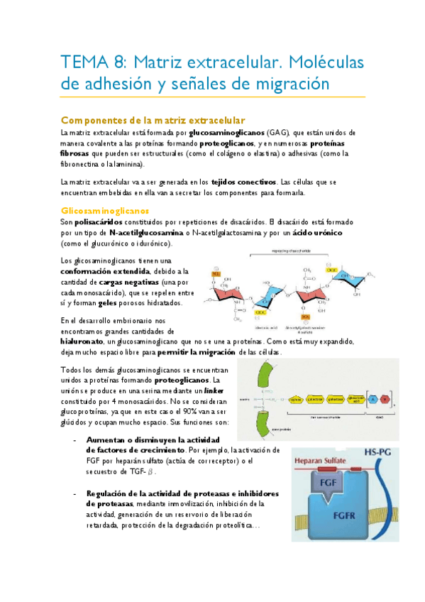 Miniatura del documento TEMA-8.pdf