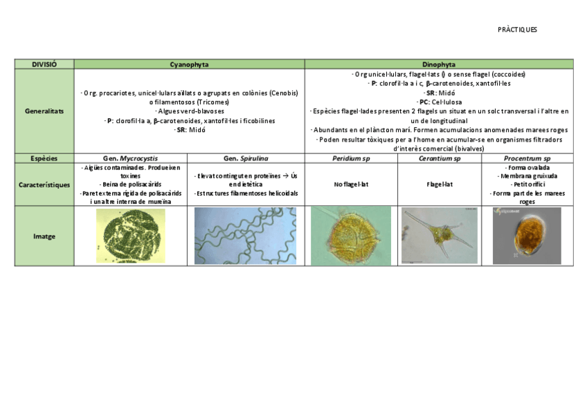 Miniatura del documento QUADRES-RESUMS-PRACTIQUES.pdf