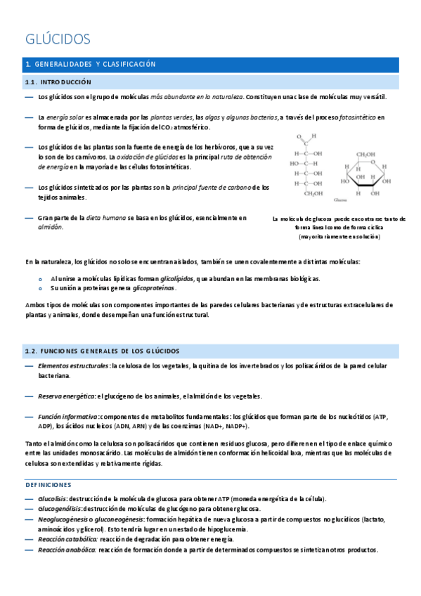 Miniatura del documento glúcidos