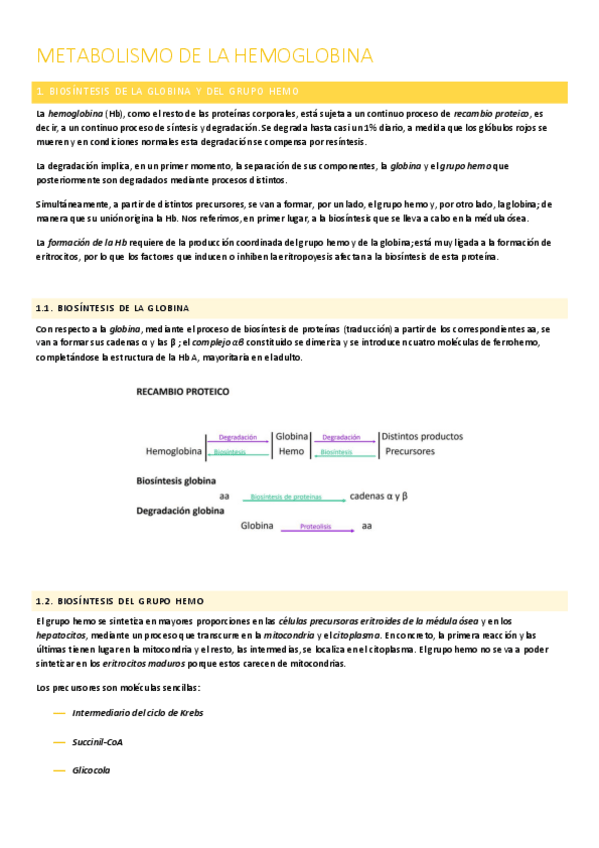 Miniatura del documento metabolismo-hb.pdf