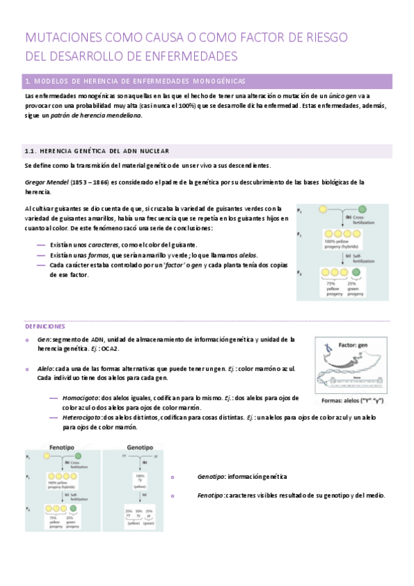 Miniatura del documento mutaciones.pdf