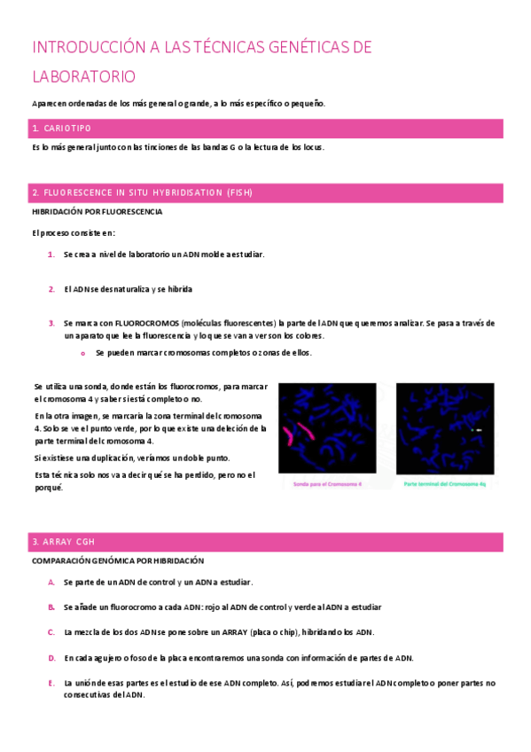 Miniatura del documento tecnicas-laboratorio.pdf