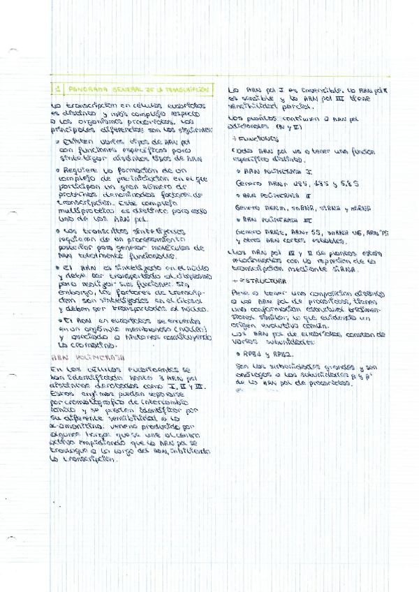 Miniatura del documento Tema-11-12-y-13-Transcripcion-regulacion-y-procesamiento-RNA-eucariotas.pdf