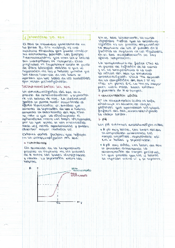 Miniatura del documento Tema-2-y-6-Estructura-del-DNA-y-cromatina.pdf