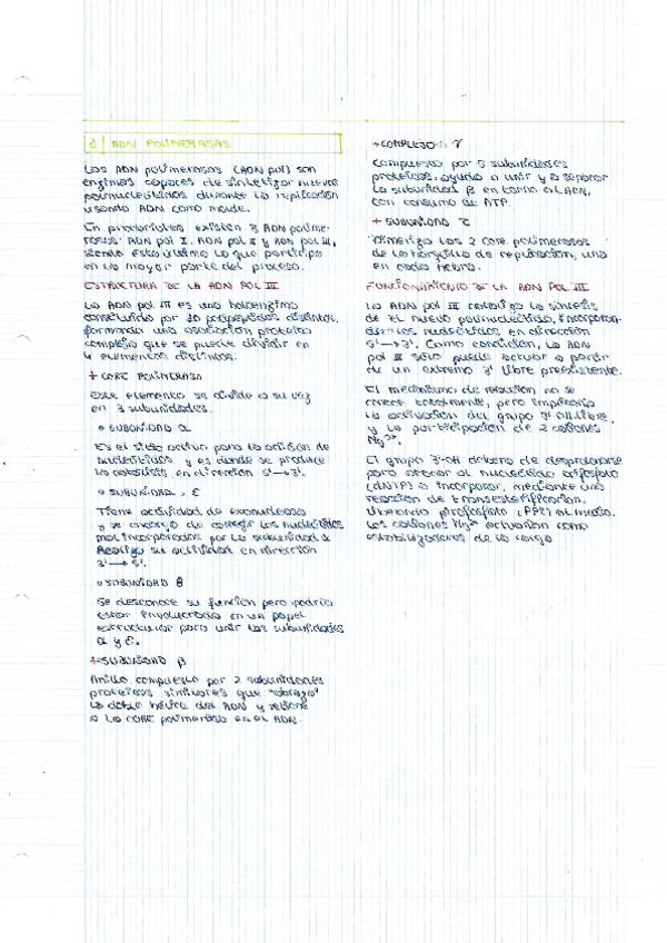 Miniatura del documento Tema-3-DNA-polimerasas.pdf