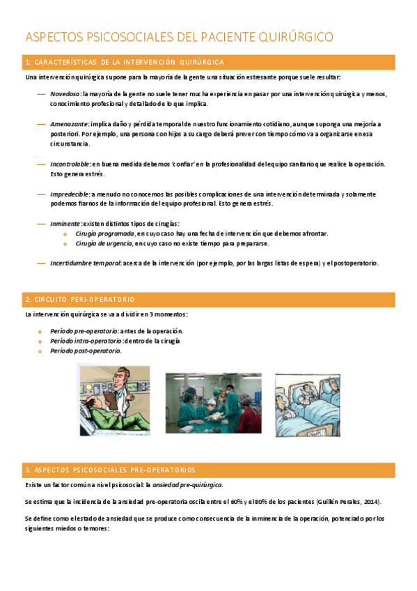 Miniatura del documento paciente-quirurgico.pdf