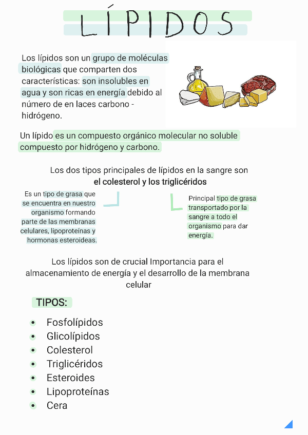 Miniatura del documento Lipidos-vitaminas-y-minerales-.pdf