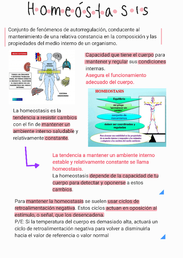 Miniatura del documento Homeostasis-.pdf
