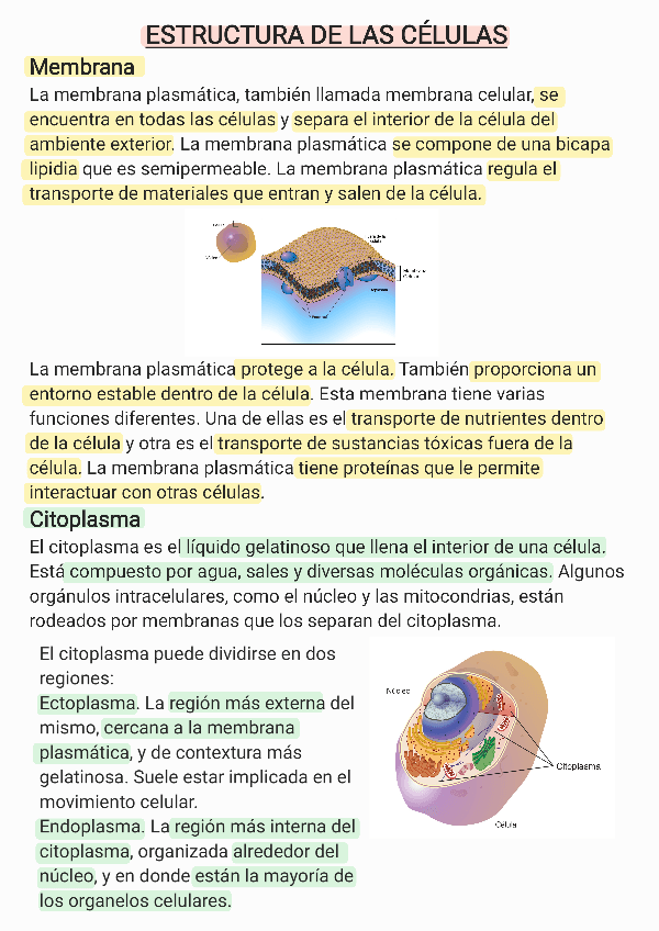 Miniatura del documento Estructura-de-las-celulas-.pdf