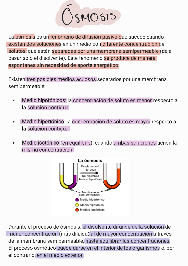 Miniatura del documento Osmosis-.pdf