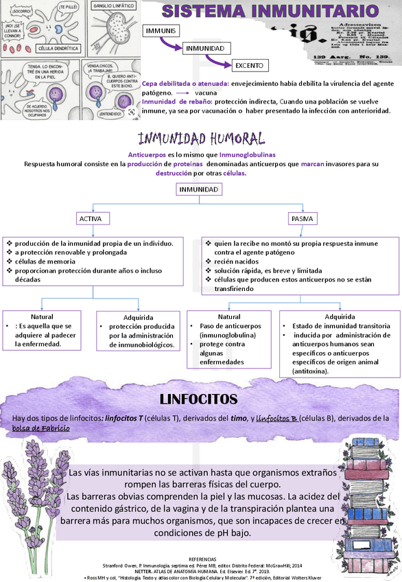 Miniatura del documento SISTEMA-INMUNITARIO.pdf
