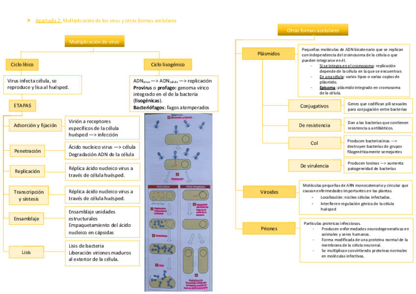 Miniatura del documento Esquema-2.pdf