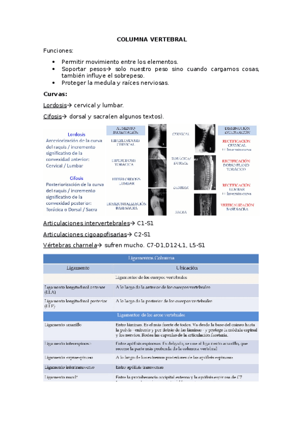 Miniatura del documento Teoria-columna.docx