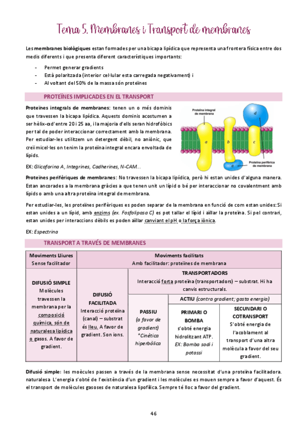 Miniatura del documento Tema-5.pdf