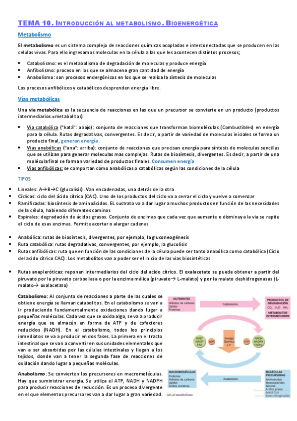 Miniatura del documento bioquimica-segundo-cuatri.pdf