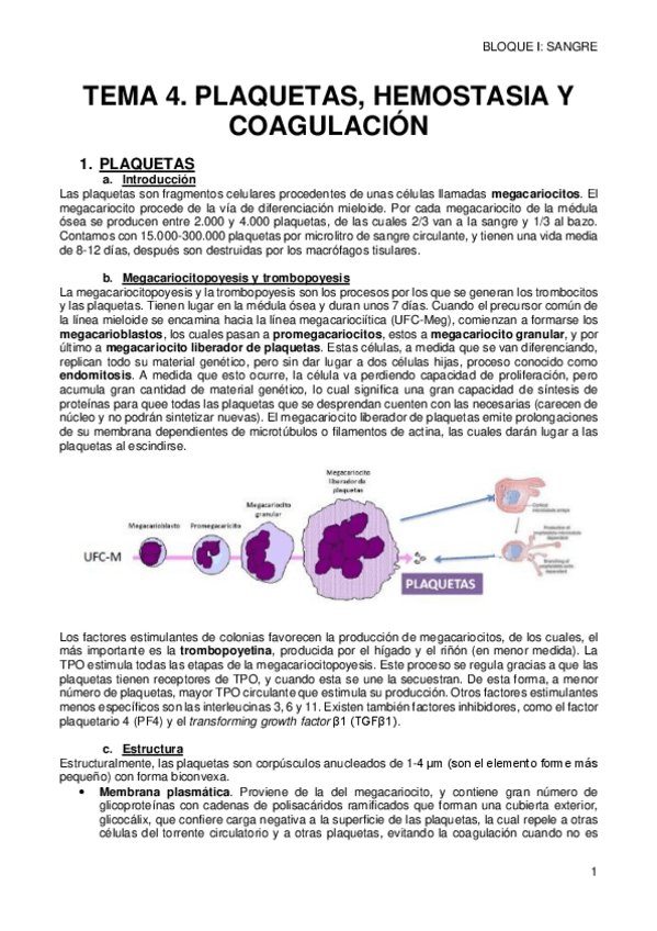 Miniatura del documento 4-PLAQUETAS-Y-COAGULACION.pdf