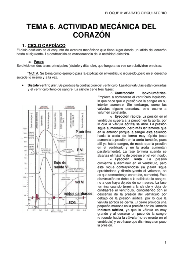 Miniatura del documento 6-ACTIVIDAD-MECANICA-DEL-CORAZON.pdf