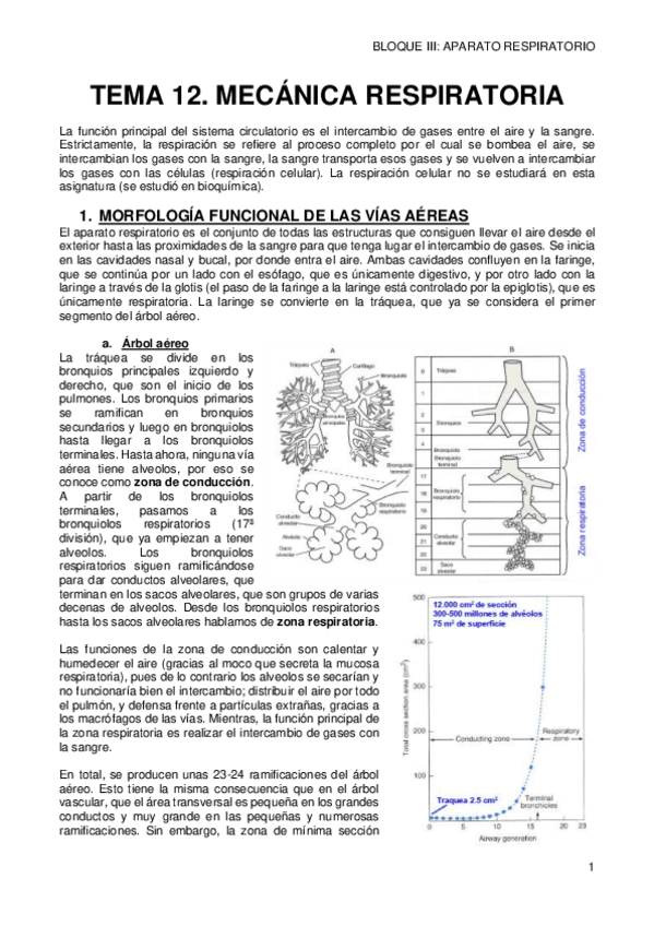 Miniatura del documento 12-MECANICA-RESPIRATORIA.pdf