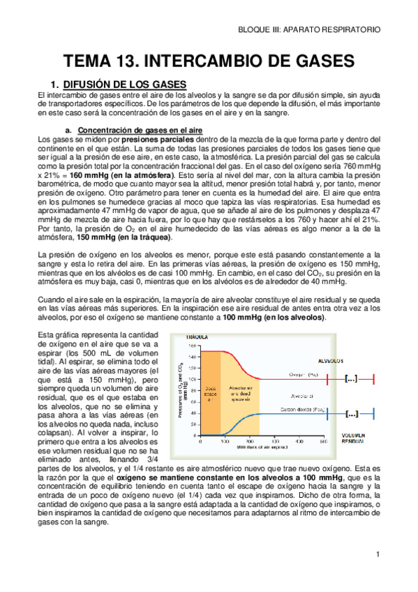 Miniatura del documento 13-INTERCAMBIO-DE-GASES.pdf