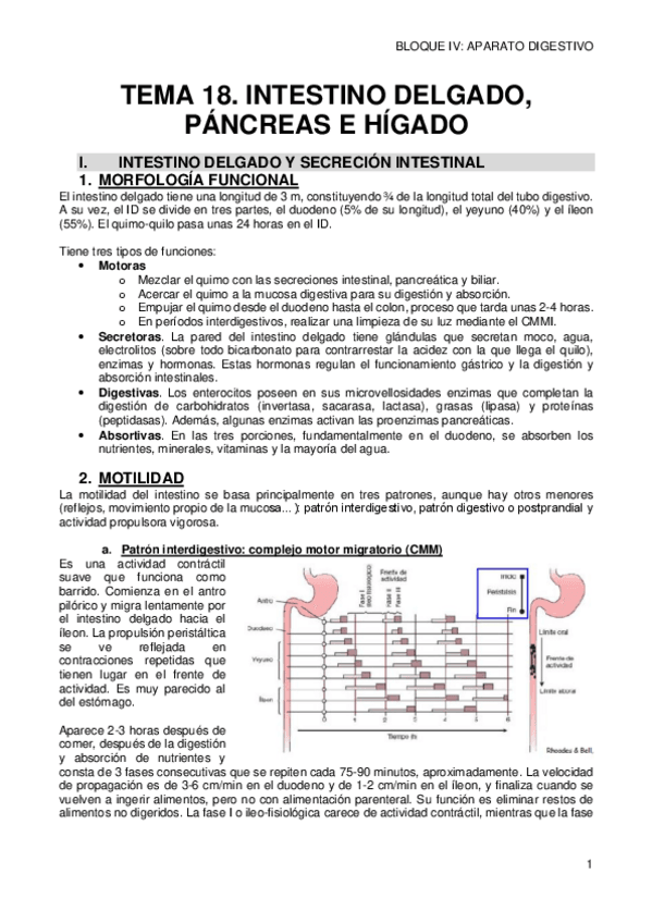 Miniatura del documento 18-INTESTINO-DELGADO.pdf
