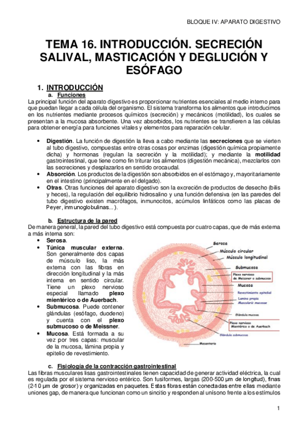 Miniatura del documento 16-INTRODUCCION-SALIVA-MASTICACION-DEGLUCION-Y-ESOFAGO.pdf