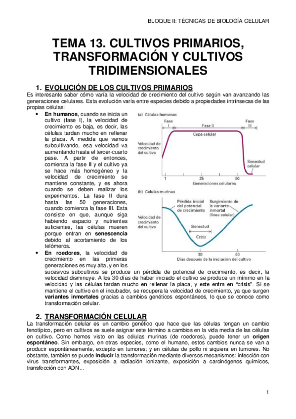 Miniatura del documento 13-CULTIVOS-PRIMARIOS.pdf
