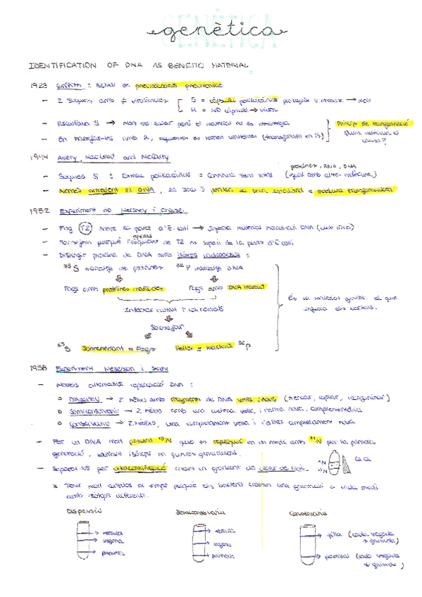 Miniatura del documento GENETICA-Seminaris.pdf