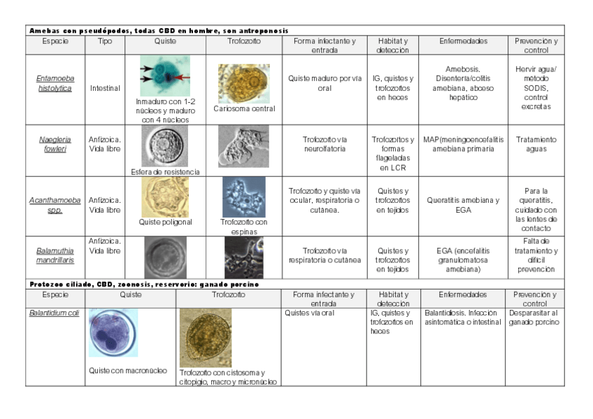 Miniatura del documento esquemas.pdf