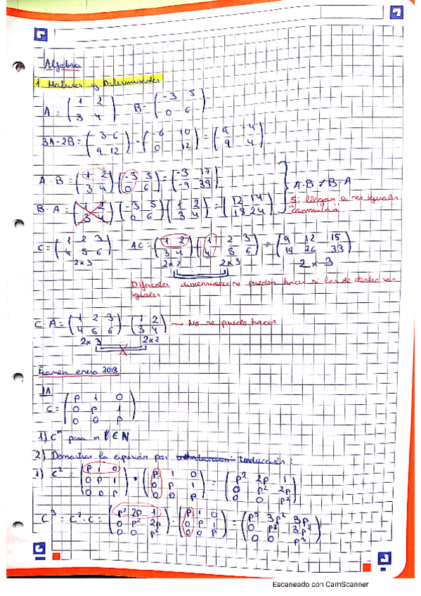 Miniatura del documento Matrices.pdf