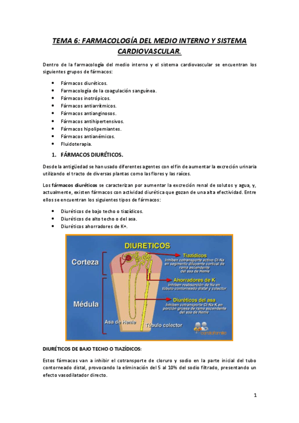 Miniatura del documento TEMA-6.pdf