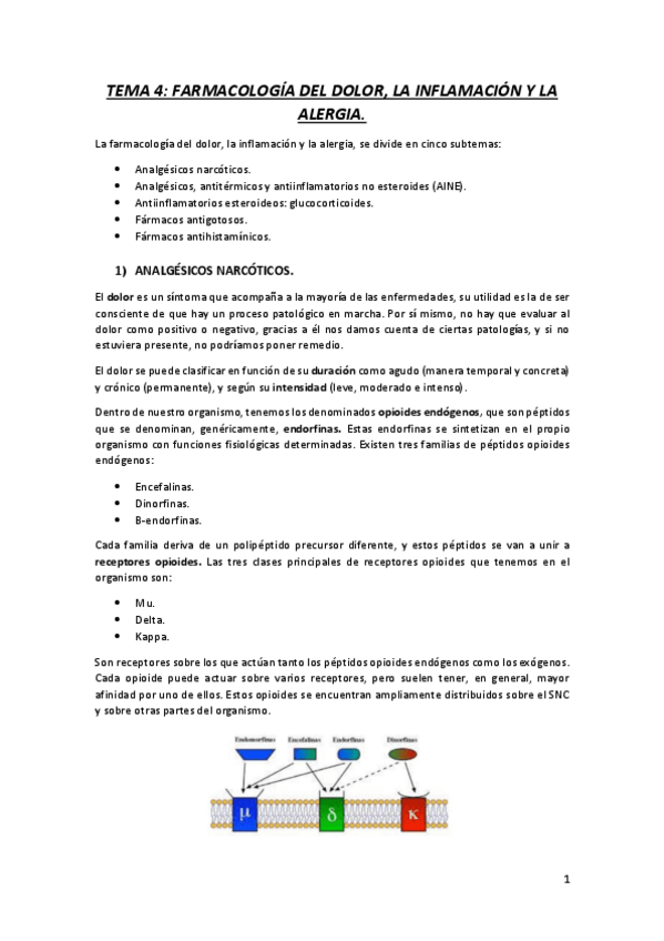 Miniatura del documento TEMA-4.pdf
