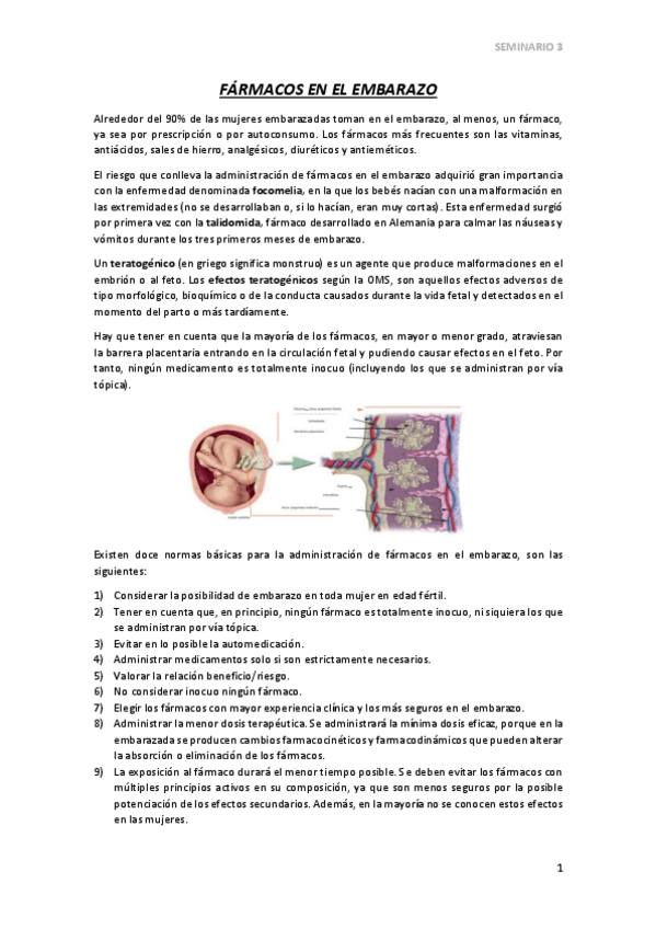 Miniatura del documento SEMINARIO-3.pdf