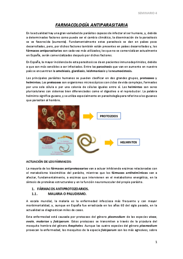 Miniatura del documento SEMINARIO-4.pdf