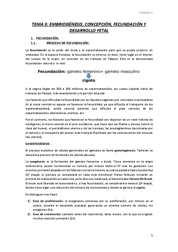 Miniatura del documento TEMA-3.pdf