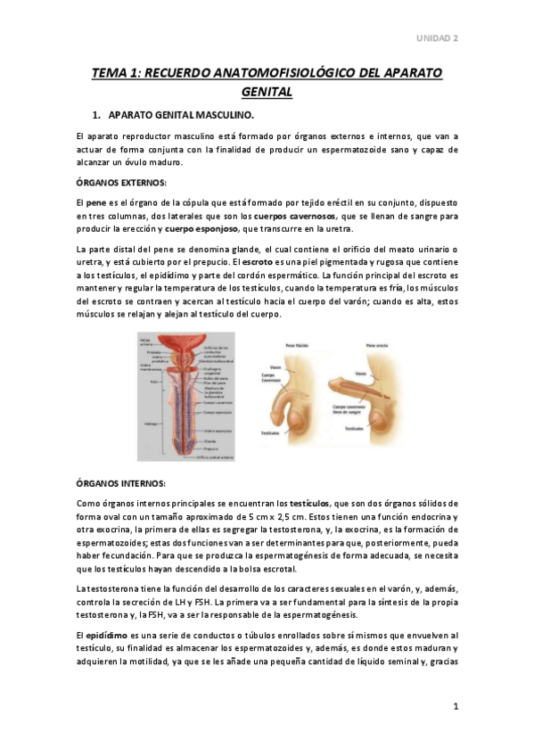 Miniatura del documento TEMA-1.pdf