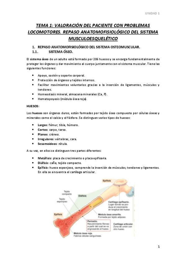 Miniatura del documento TEMA-1.pdf