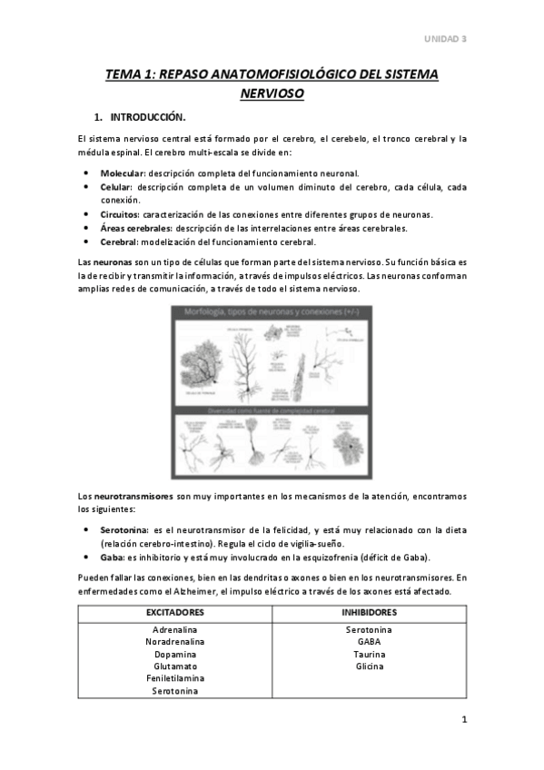 Miniatura del documento TEMA-1.pdf