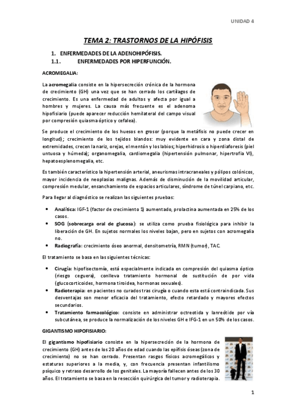 Miniatura del documento TEMA-2.pdf