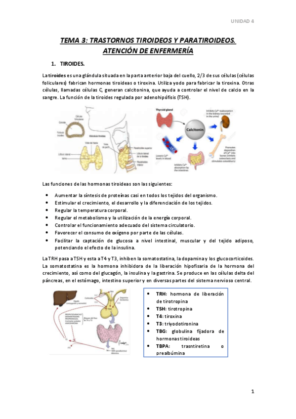 Miniatura del documento TEMA-3.pdf