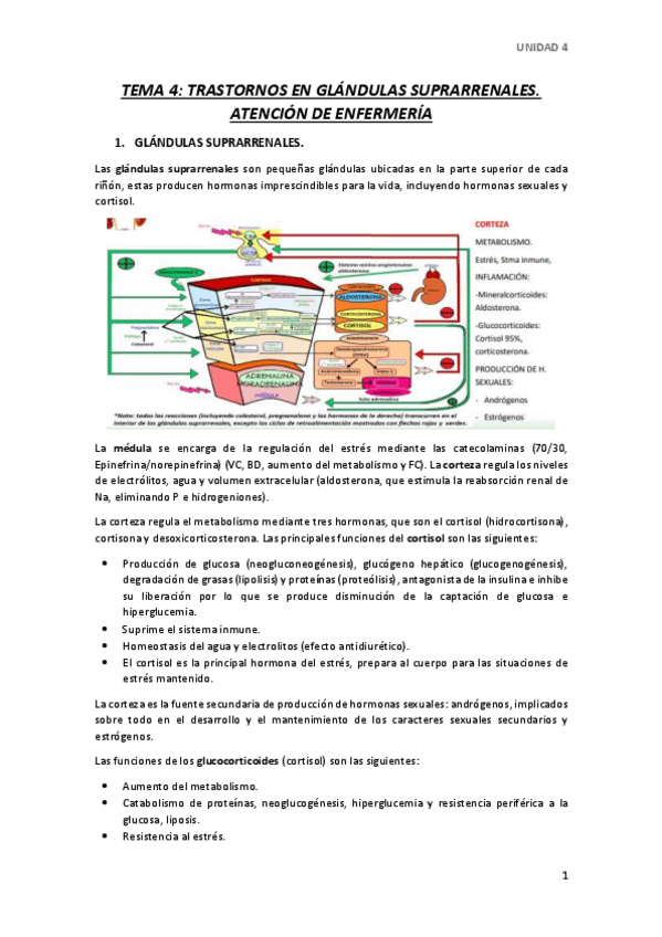 Miniatura del documento TEMA-4.pdf