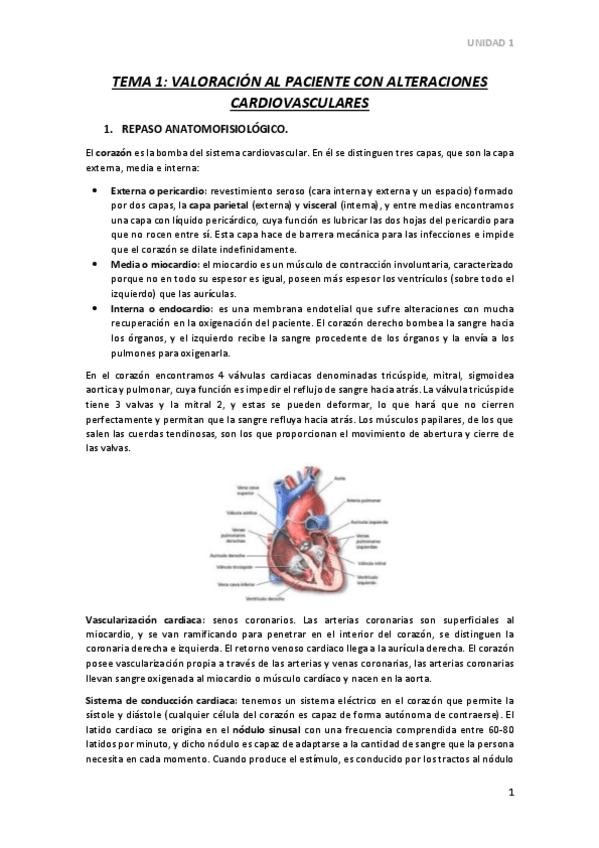 Miniatura del documento TEMA-1.pdf