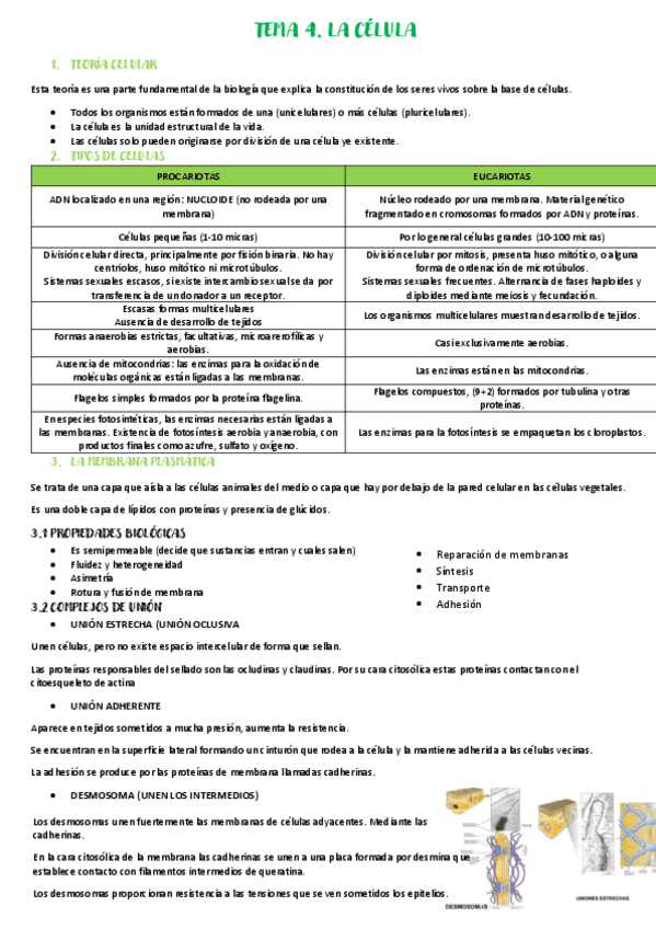 Miniatura del documento Tema-4.pdf