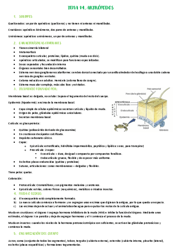 Miniatura del documento Tema-14.pdf