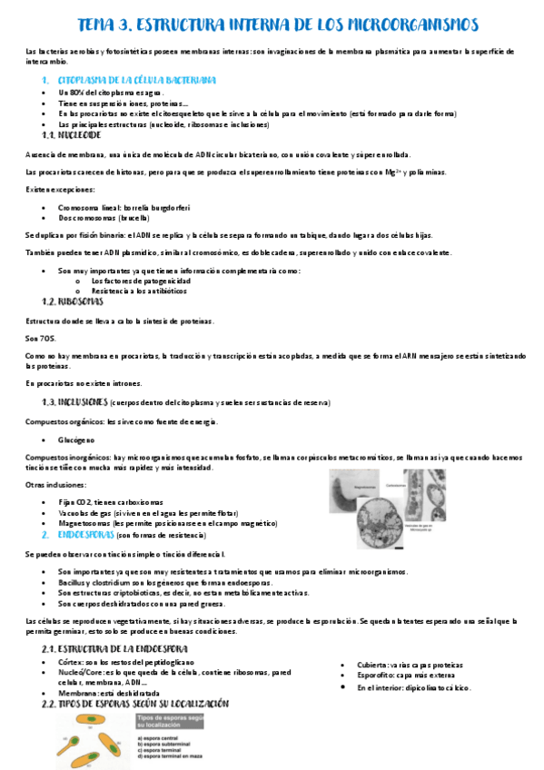 Miniatura del documento Tema-3.pdf