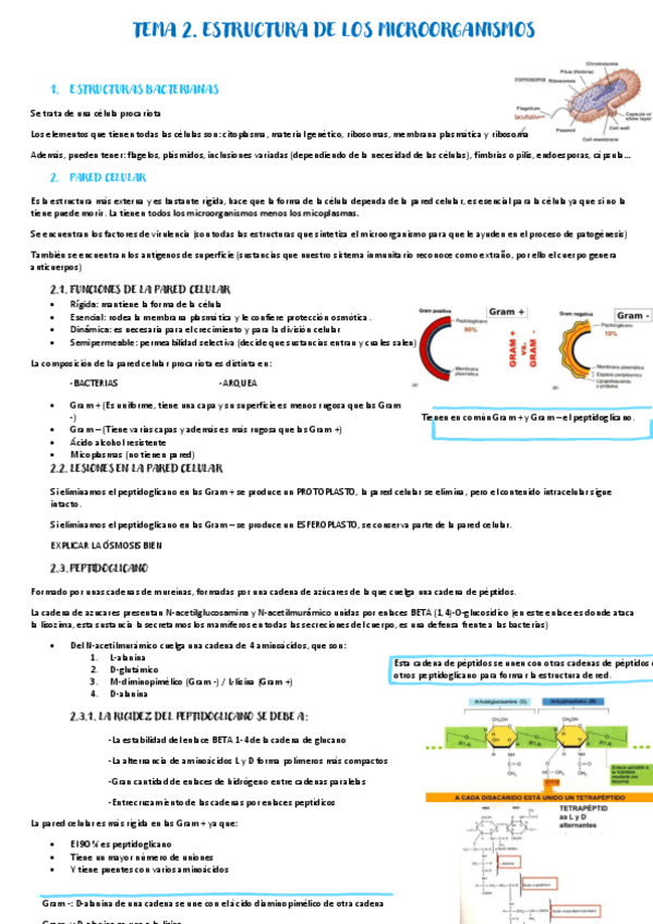 Miniatura del documento Tema-2.pdf