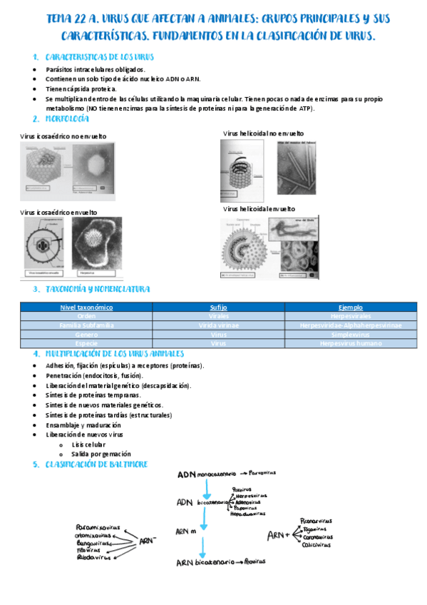 Miniatura del documento Tema-22.pdf