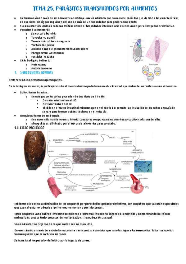 Miniatura del documento Tema-25.pdf
