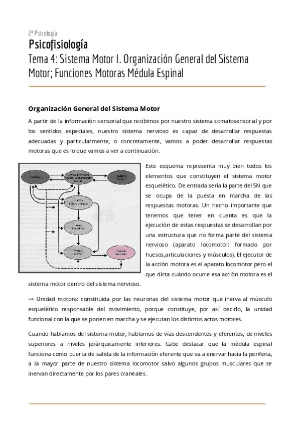Miniatura del documento Tema-4-Psicofisiologia.pdf