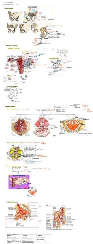 Miniatura del documento 1.pdf