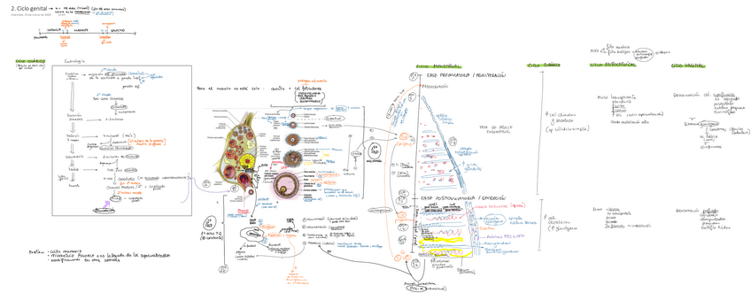 Miniatura del documento 2.pdf